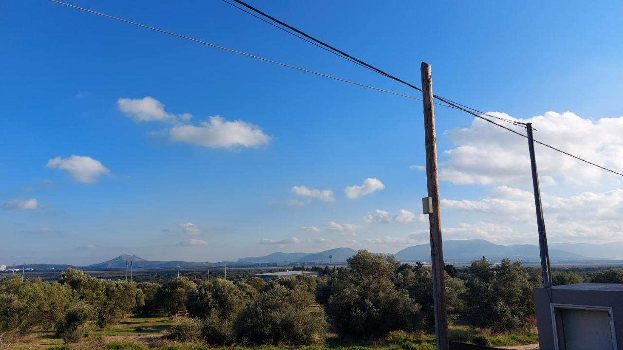Makarios Apartment Near Athens Aiport Spáta Exteriör bild